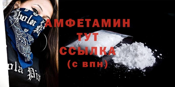 прущие грибы Надым