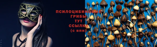 прущая мука Навашино
