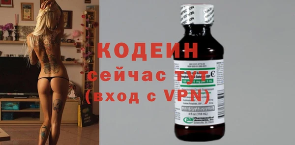 прущие грибы Надым