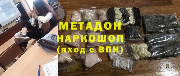 прущие грибы Надым