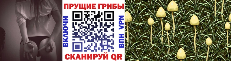 Галлюциногенные грибы прущие грибы  Урень 